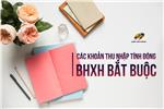 Các khoản thu nhập tính đóng bảo hiểm xã hội bắt buộc