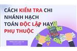 Cách kiểm tra chi nhánh hạch toán độc lập hay phụ thuộc.