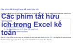 Các phím tắt trong Excel kế toán hữu ích.