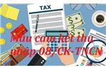 Mẫu cam kết thu nhập thuế TNCN mới nhất năm 2024 (Mẫu 08/CK-TNCN)