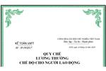 Mẫu quy chế lương thưởng của công ty mới nhất năm 2024