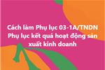 Cách làm Phụ lục 03-1A/TNDN Phụ lục kết quả hoạt động sản xuất kinh doanh