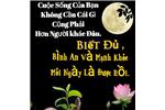 TA THẤY ĐỜI NÀY VẪN ĐẸP... Ngọc Phương
