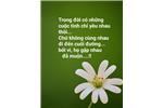 VẪN MONG KIẾP KHÁC ĐƯỢC ANH YÊU ... Ngọc Phương