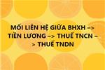 MỐI LIÊN HỆ GIỮA BHXH –> TIỀN LƯƠNG –> THUẾ TNCN –> THUẾ TNDN